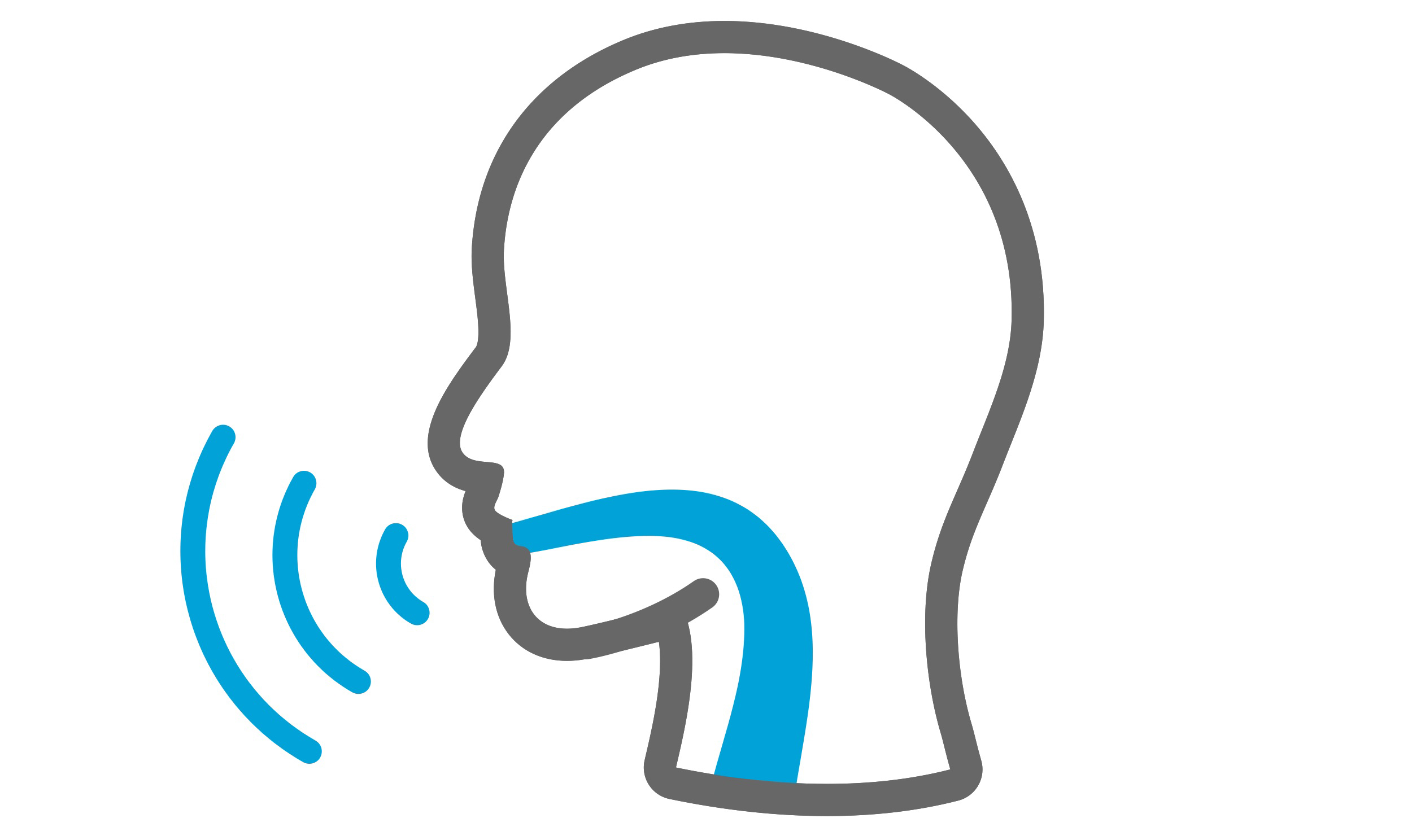 Voice Image